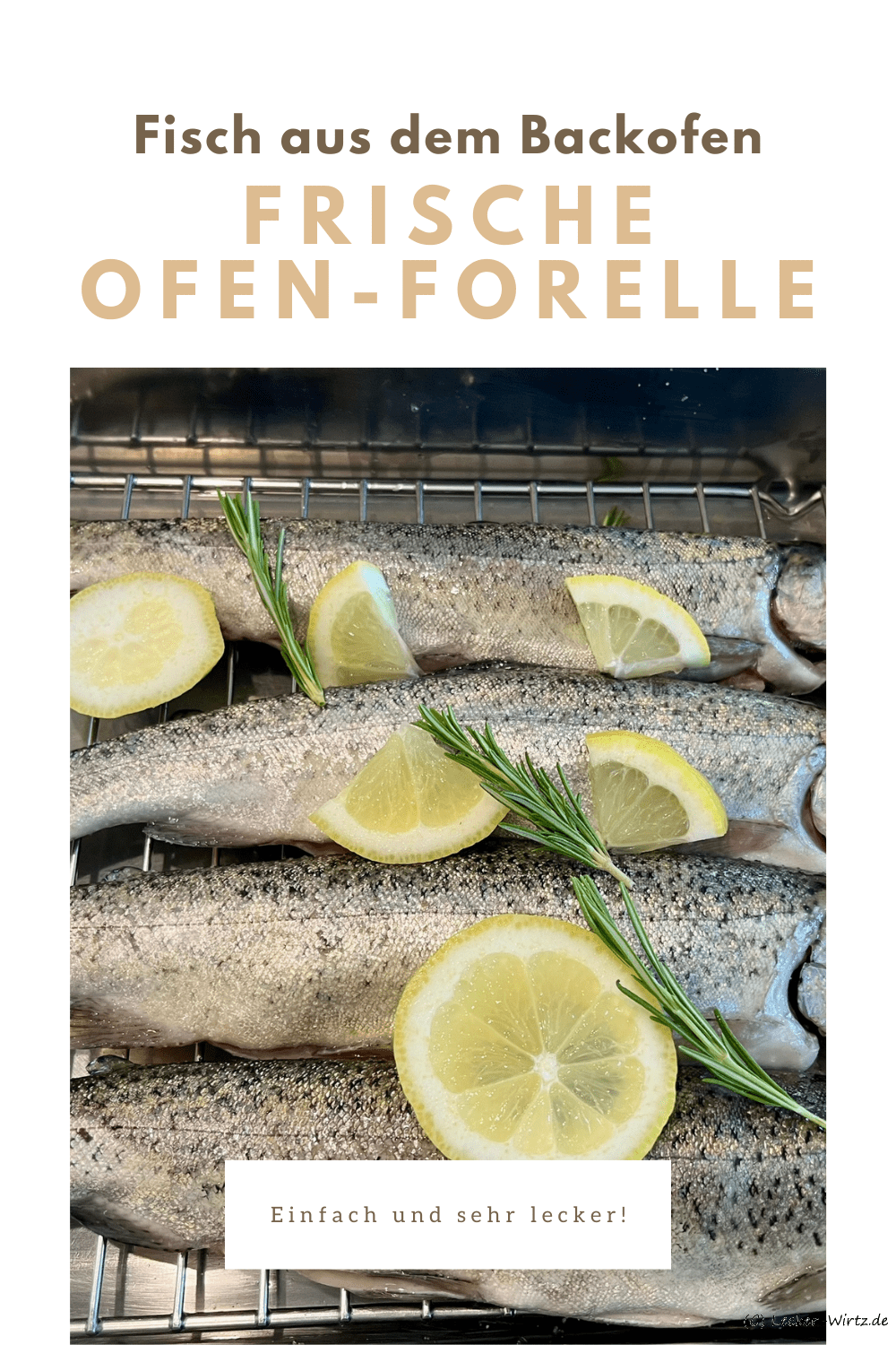 Frische Ofen-Forelle