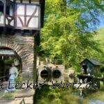 Märchenwald Odenthal