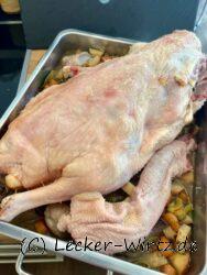 Gans auf der Schwedenschale