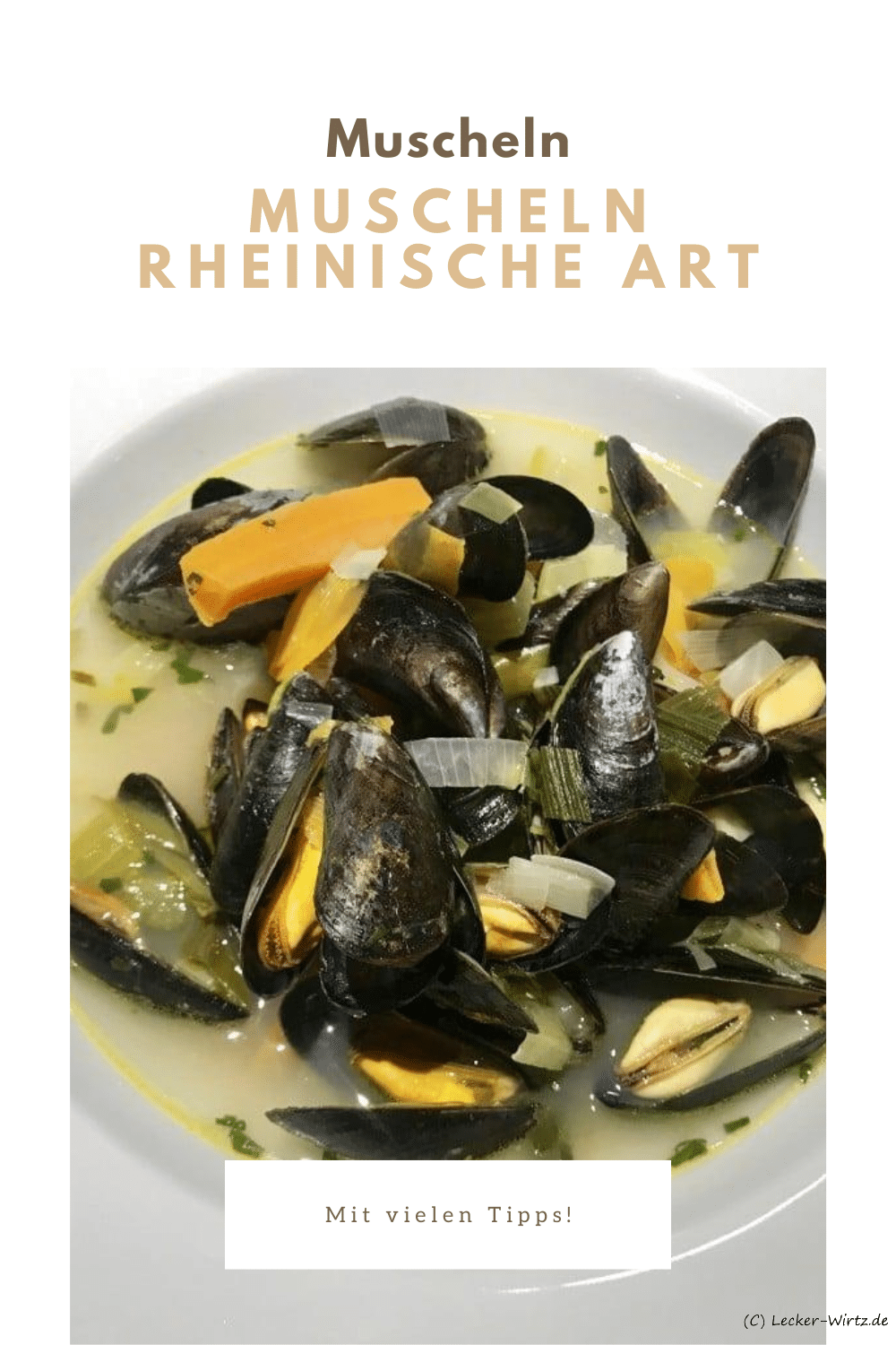 Muscheln rheinische Art