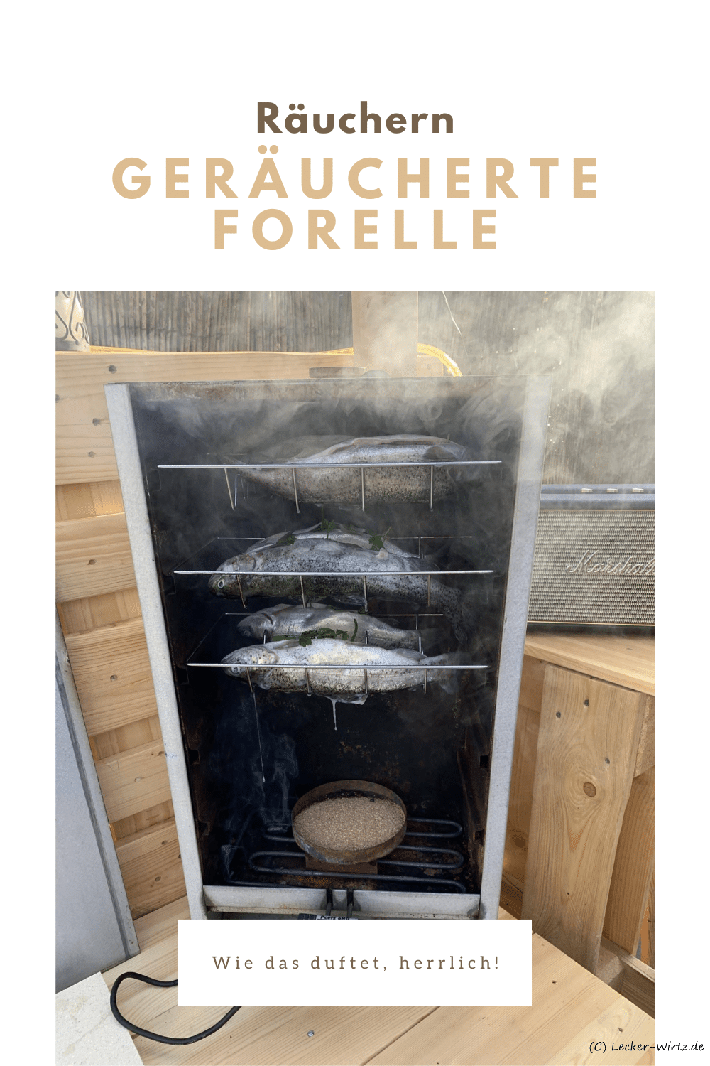 Geräucherte Forelle aus der Räucherbox