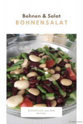 Bohnensalat erntefrisch aus dem Garten