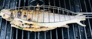Fischwender