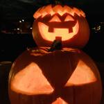 Halloween Kürbisse