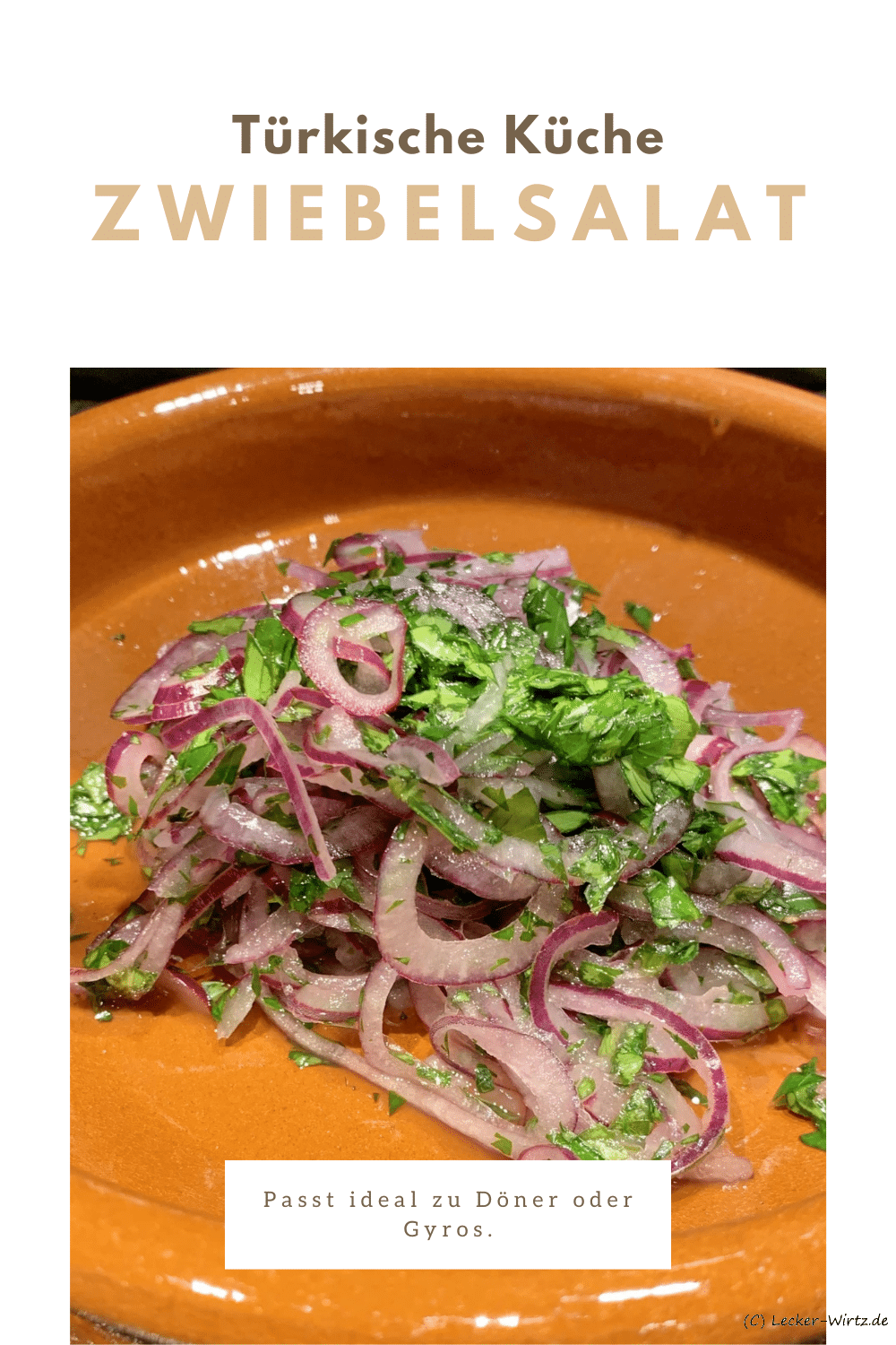 Zwiebelsalat -Soğan Salatası