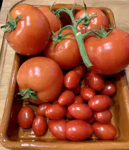 Tomaten