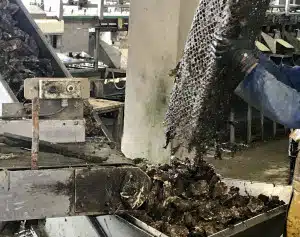 Reinigung nach der Ernte