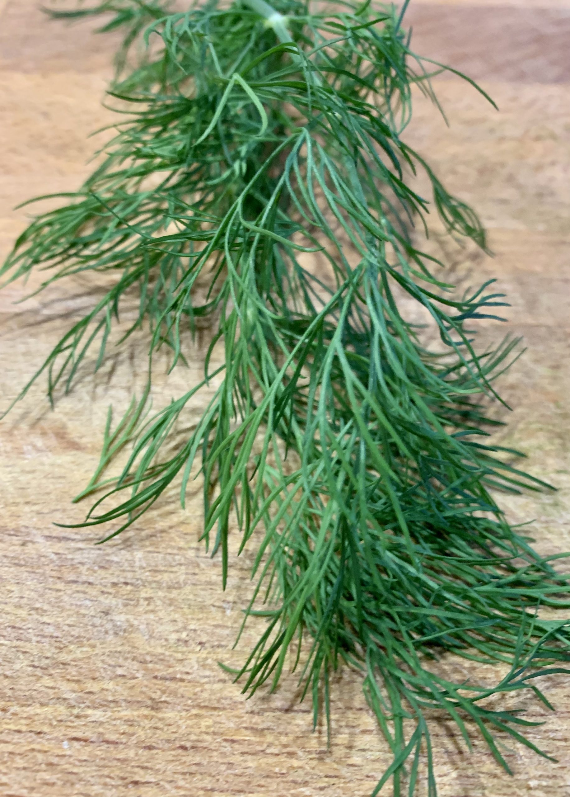 Dill
