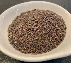 Braune Senfkörner