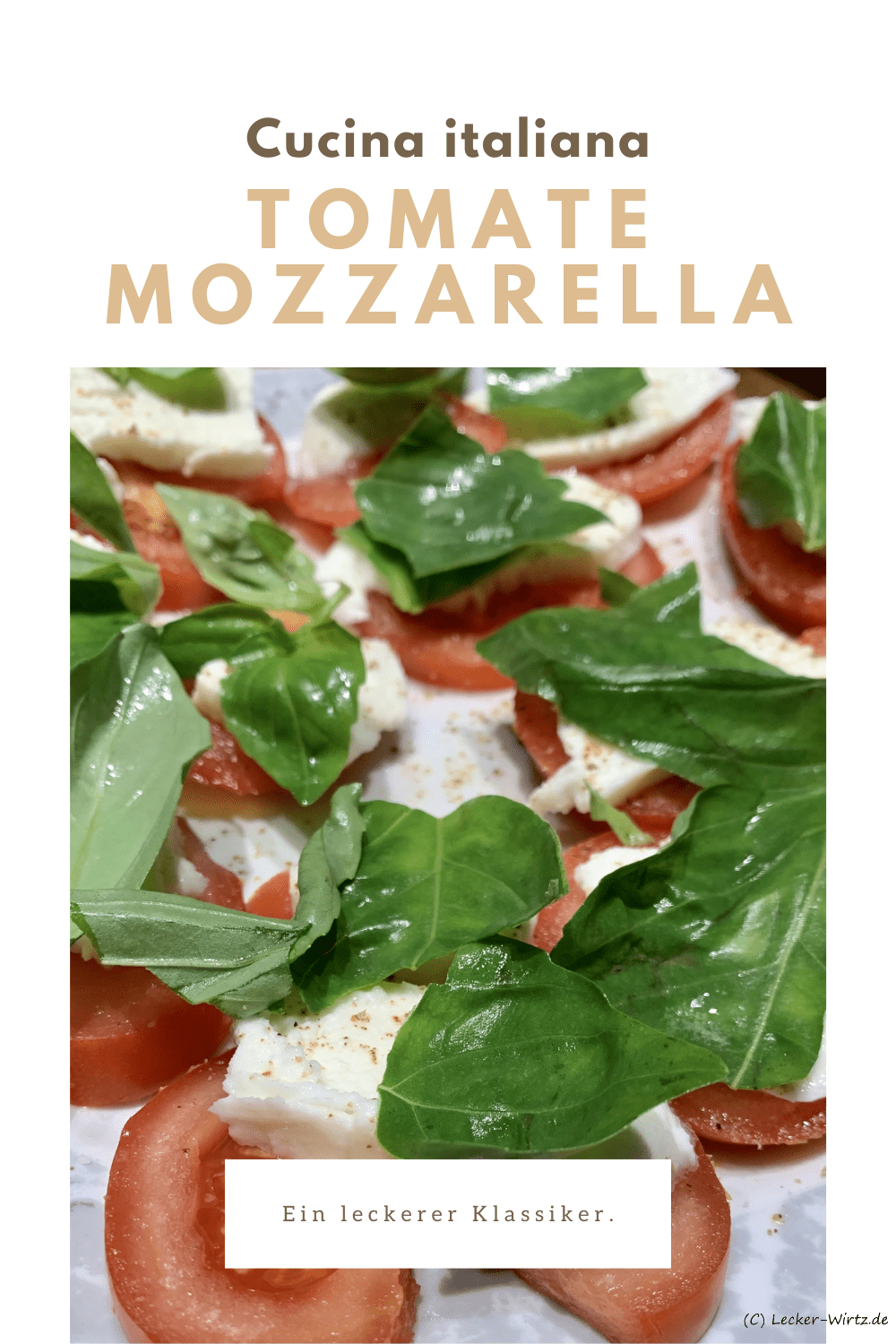 Tomate Mozzarella mit Basilikum