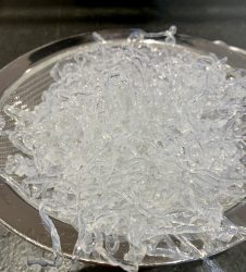 Carbonara mit Sjögräsnudlar – Seegrasnudeln