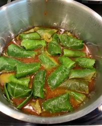 Dolmadakia – Yaprak Sarması – gefüllte Weinblätter