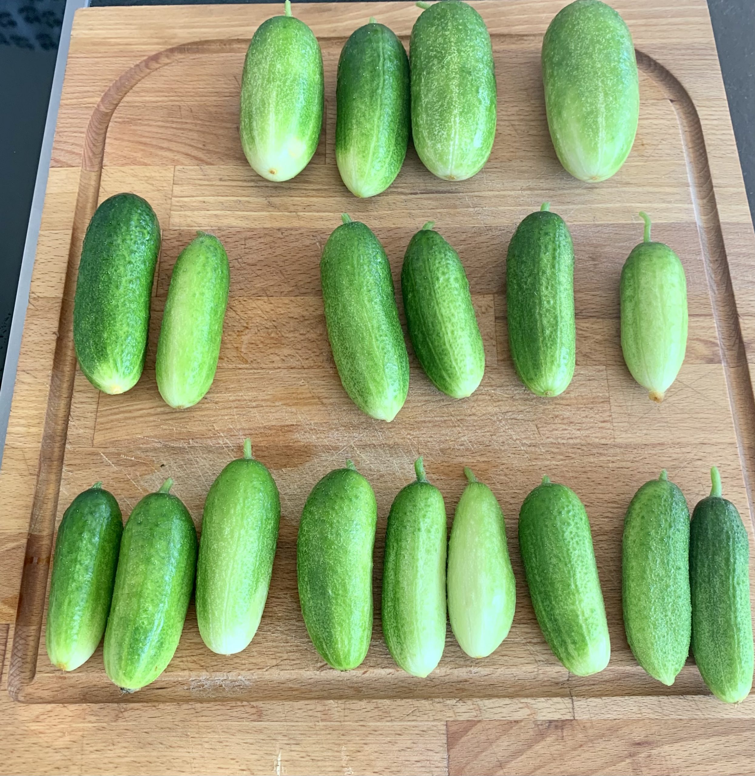 Eingelegte Gürkchen aus dem Garten