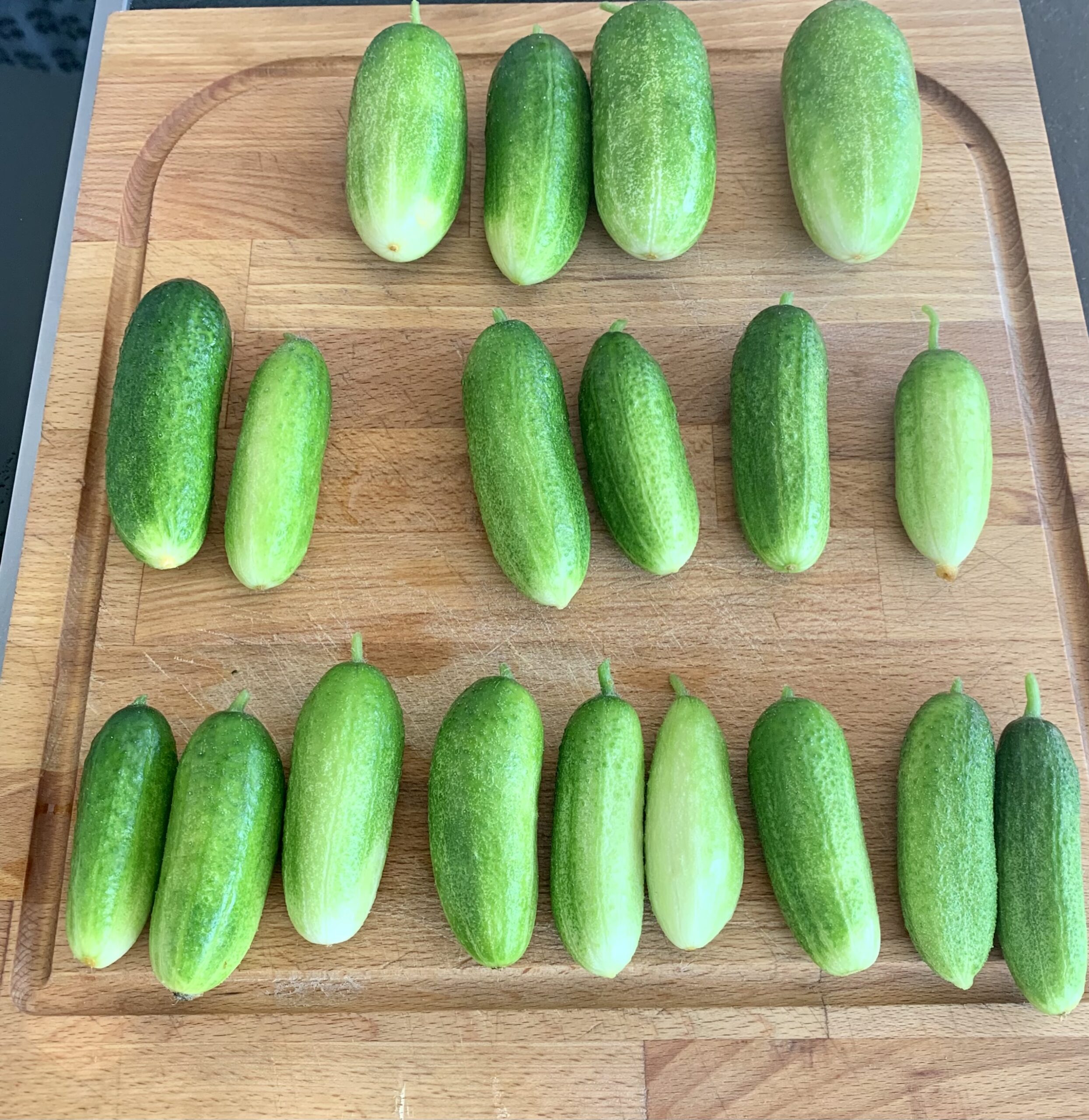 Eingelegte Gürkchen aus dem Garten