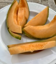 Cantaloupe-Melone, aromatisch und süß