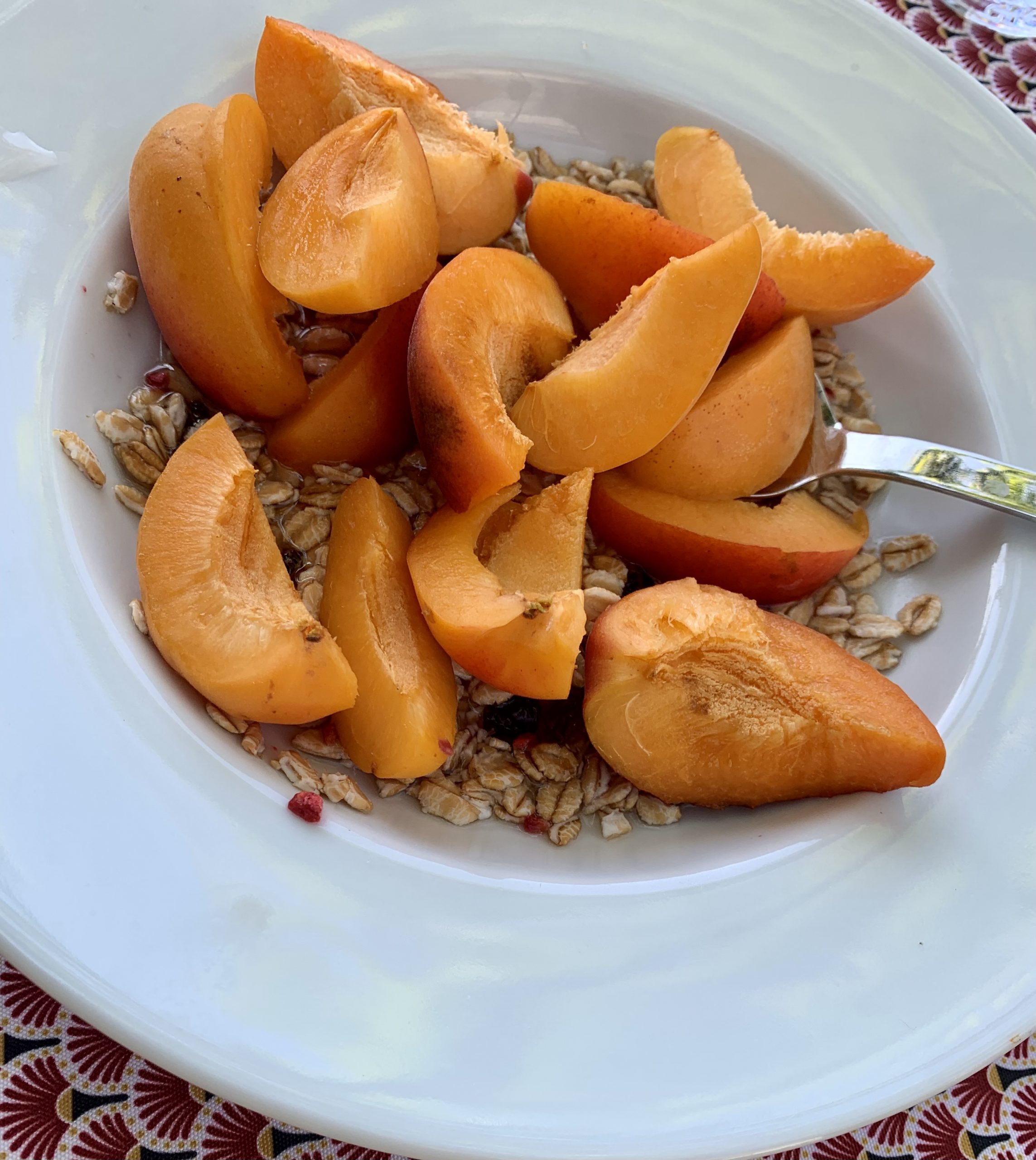 Aprikosen mit Haferflocken