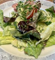 Gemischter Salat mit Kresse
