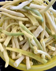 Bohnen einfrieren, frisch aus dem Garten