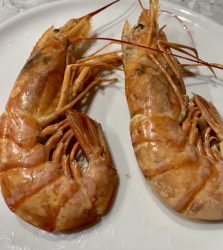 Rotgarnele
