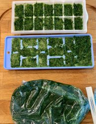 Petersilien Eiswürfel ideal für Suppen