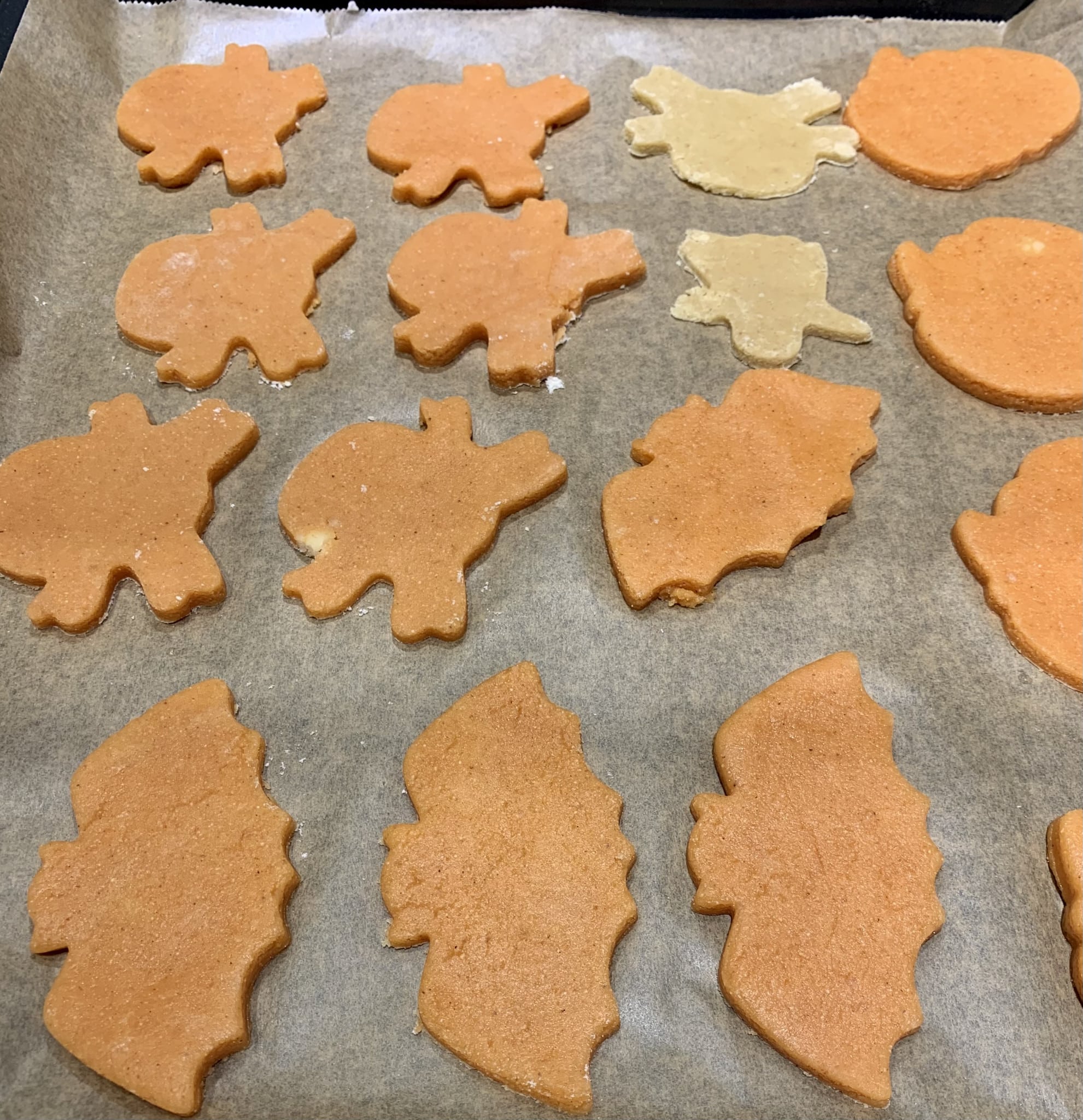 Halloween Käseplätzchen