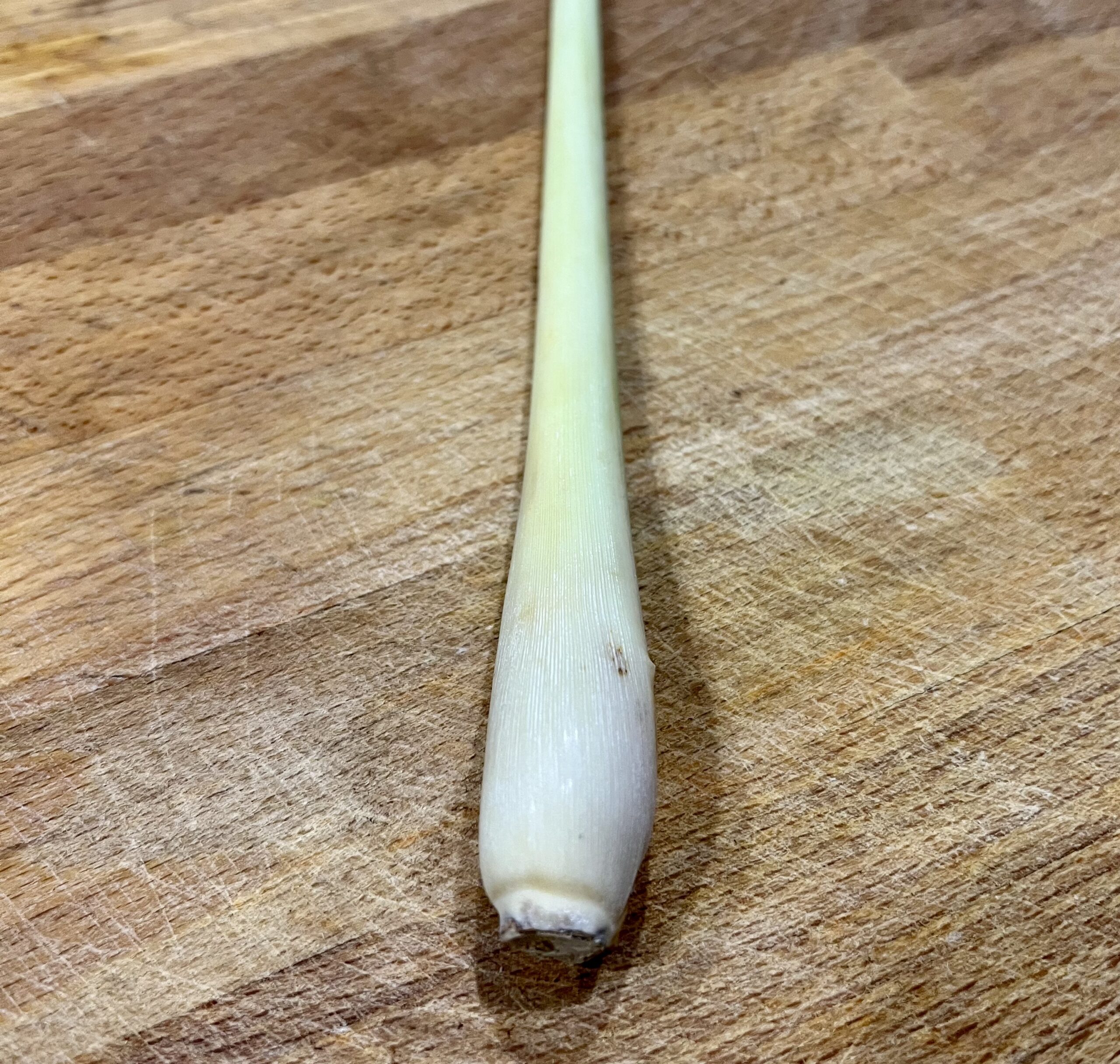 Zitronengras