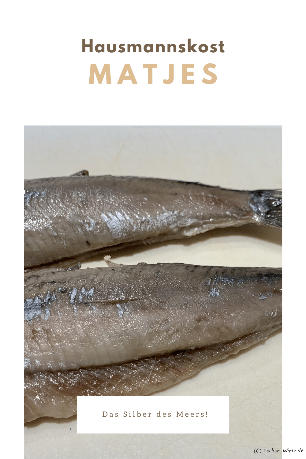 Matjes – das Silber des Meers