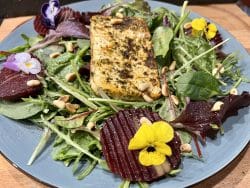 Gebratener Chiliziegenkäse auf buntem Salat