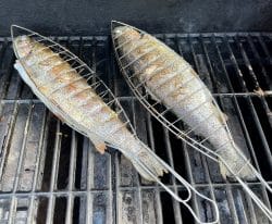 Kräuterforelle vom Grill