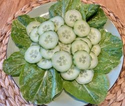 Hasenfutter – Grüner Salat mit Gurke