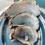 Austerngrößen Huître de mer, No.2, No.4