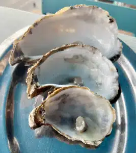Austerngrößen Huître de mer, No.2, No.4