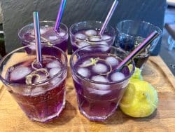 Purple Gin