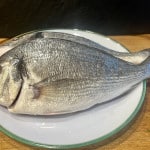Dorade