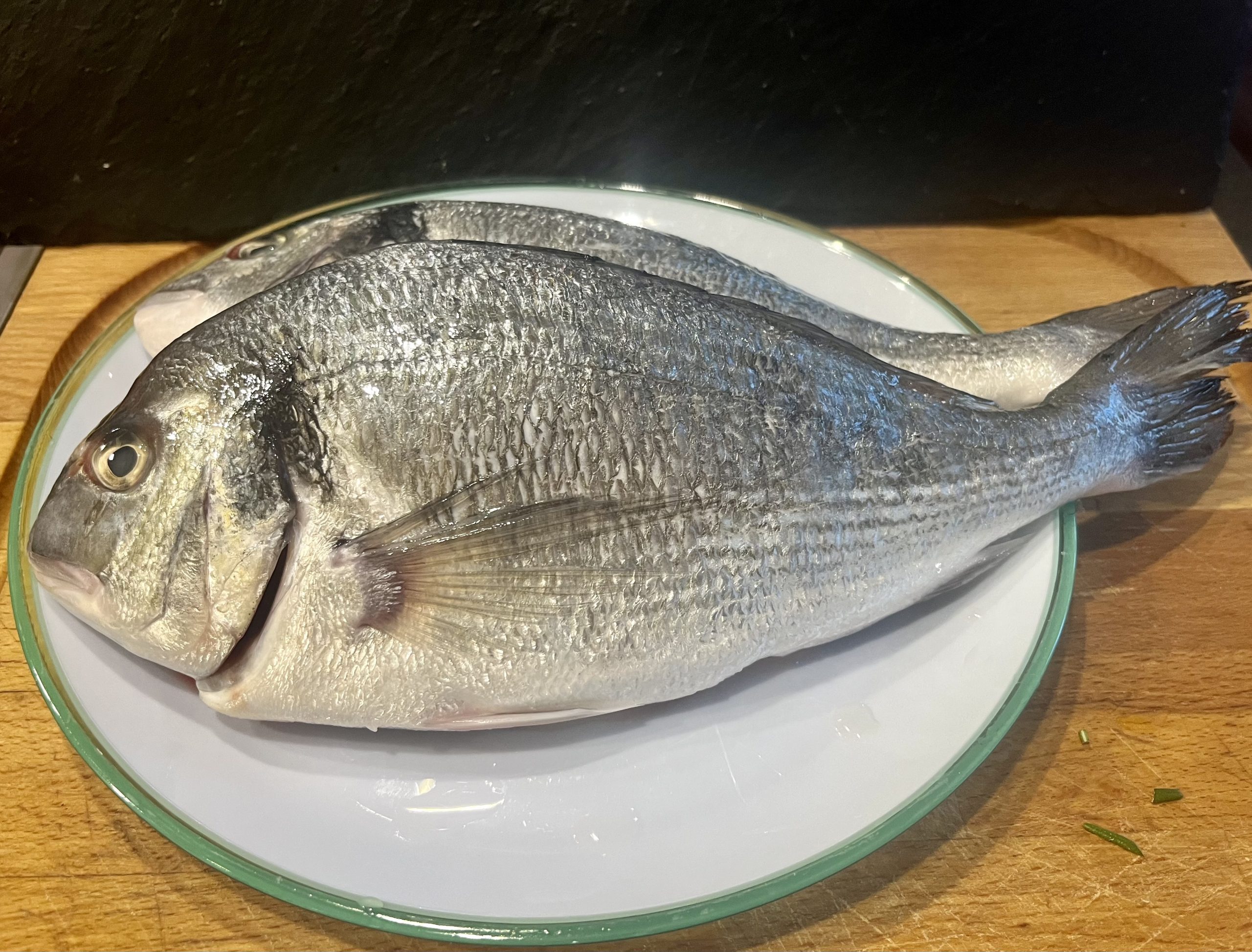 Dorade
