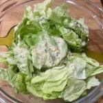 Grüner Salat mit Parmesan Dressing
