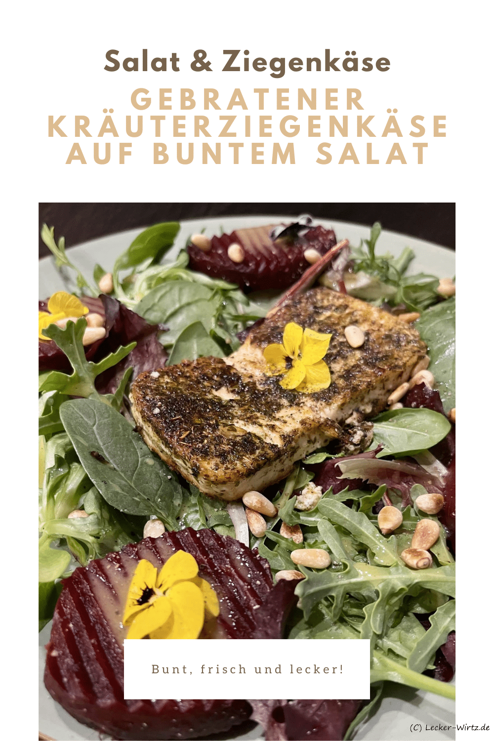 Gebratener Kräuterziegenkäse auf buntem Salat