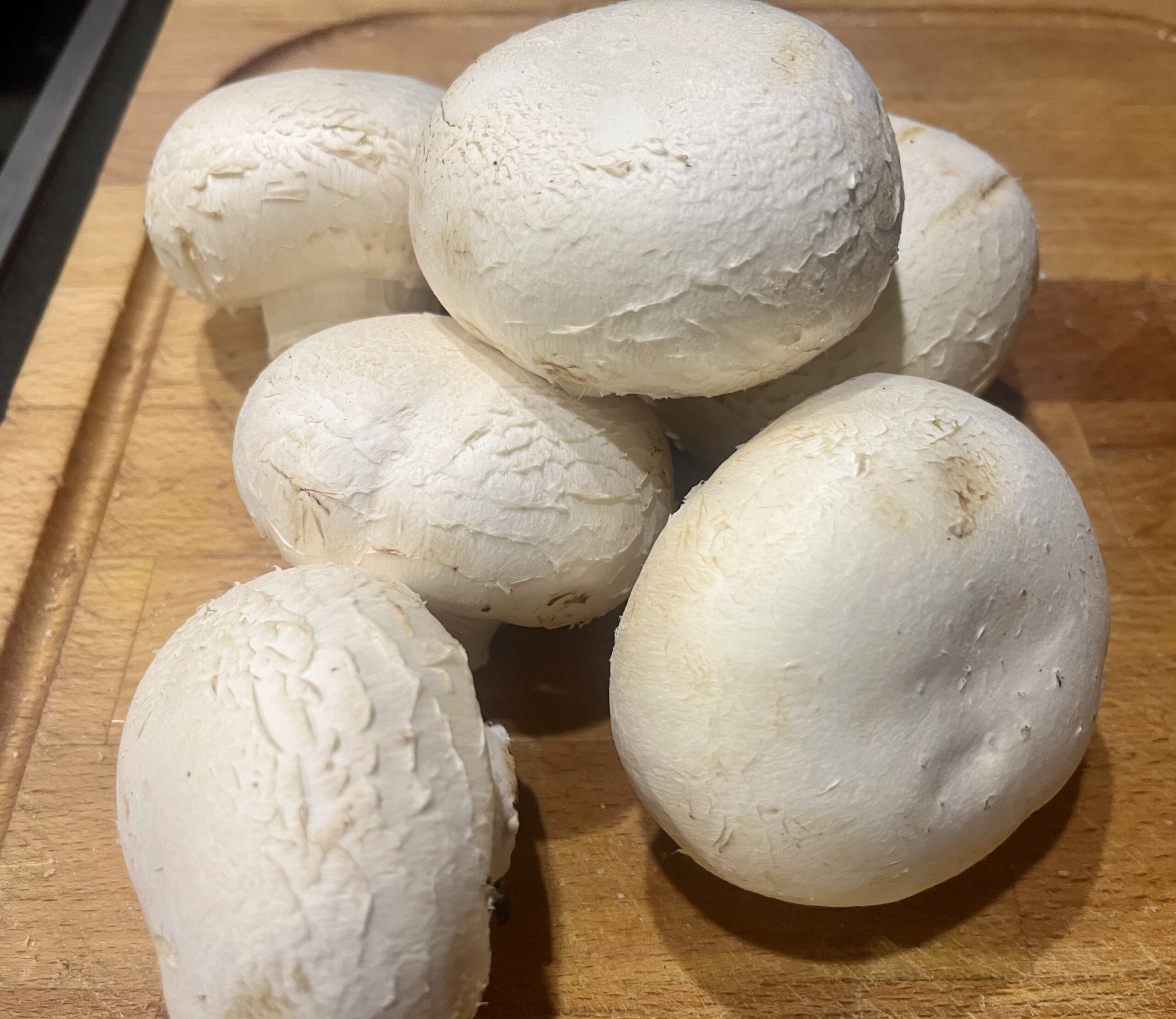 Riesenchampignons