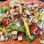 Ein roter Teller mit einem mediterranen Brotsalat bestehend aus grünem Salat, Paprikastückchen, Zwiebelringen, Romanasalat und gerösteten Brotstückchen