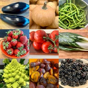 Eine kulinarische Reise durchs Jahr – Rezepte der Saison