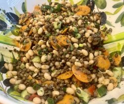 Lentil and carrot salad with white beans