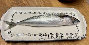 Makrele