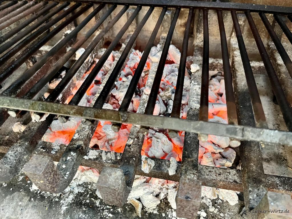 Holzkohle richtig anfeuern einfach gemacht