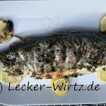 Gegrillter Wolfsbarsch - Loup de mer grillé