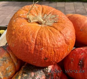 Etampes Rouge