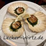 Jakobsmuscheln aus der Normandie