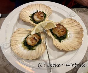 Jakobsmuscheln aus der Normandie