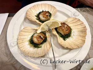 Jakobsmuscheln auf Knoblauchspinat