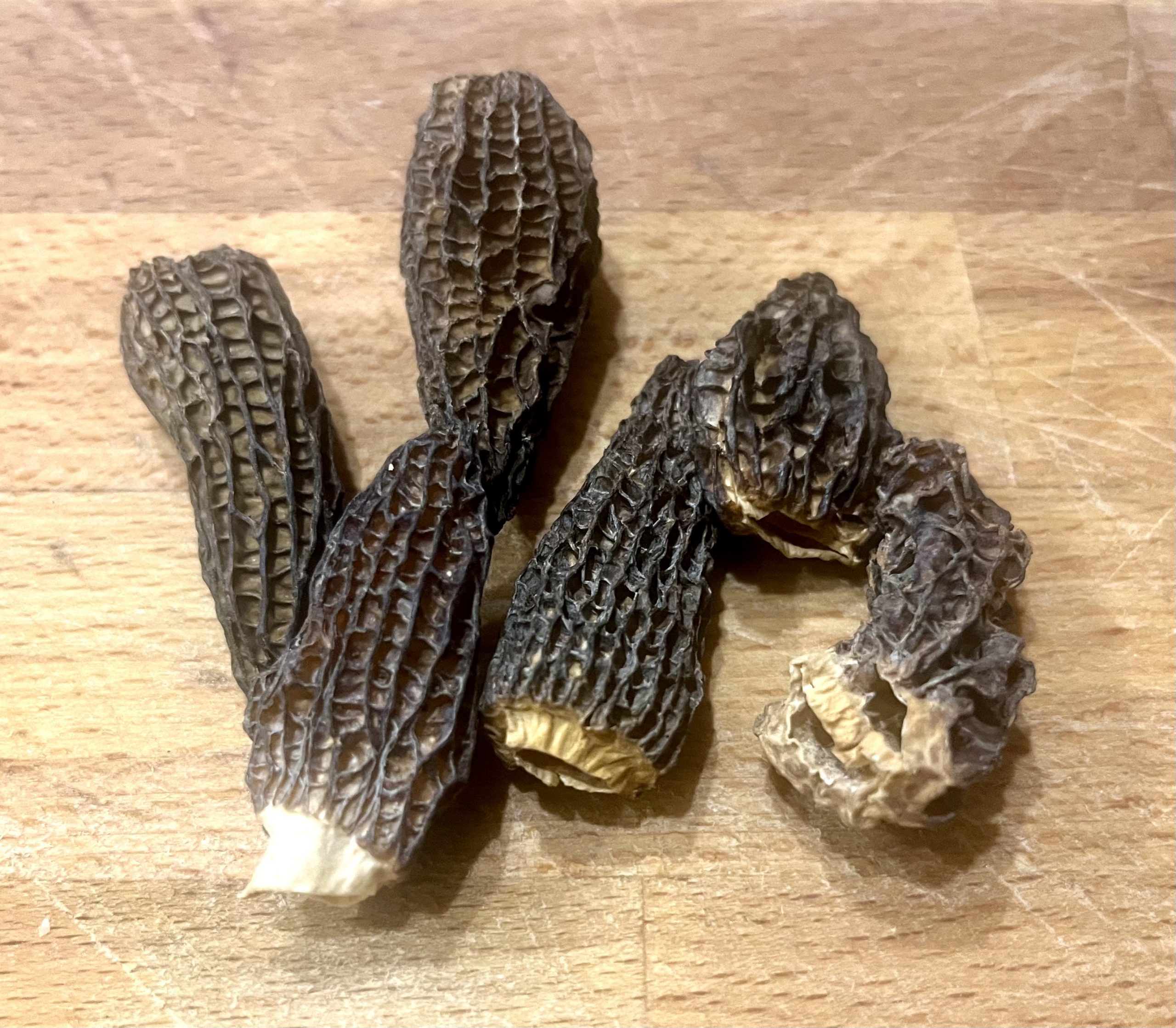 Getrocknete Morcheln