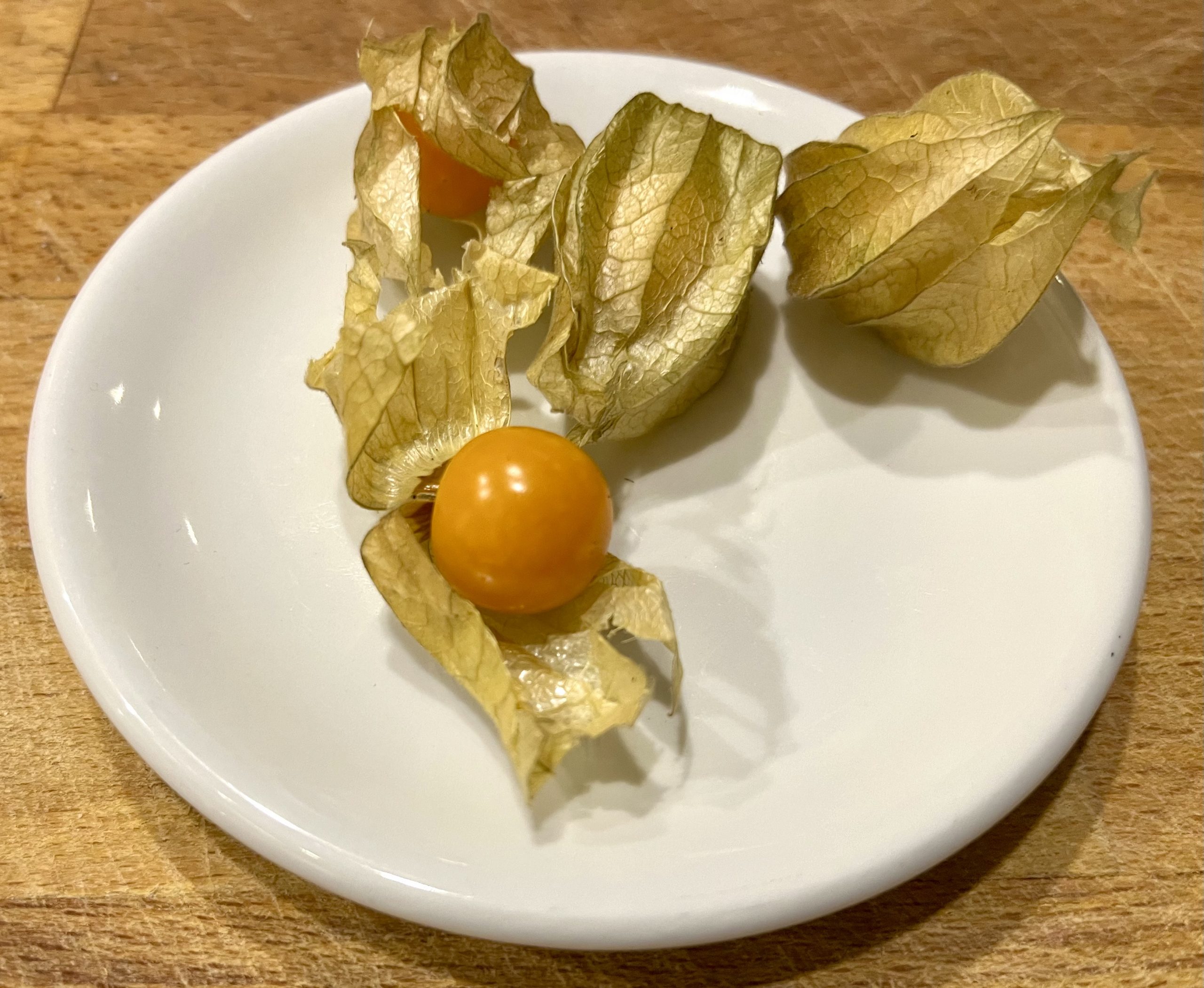 Physalis, Ballonfrucht, Blasenkirsche